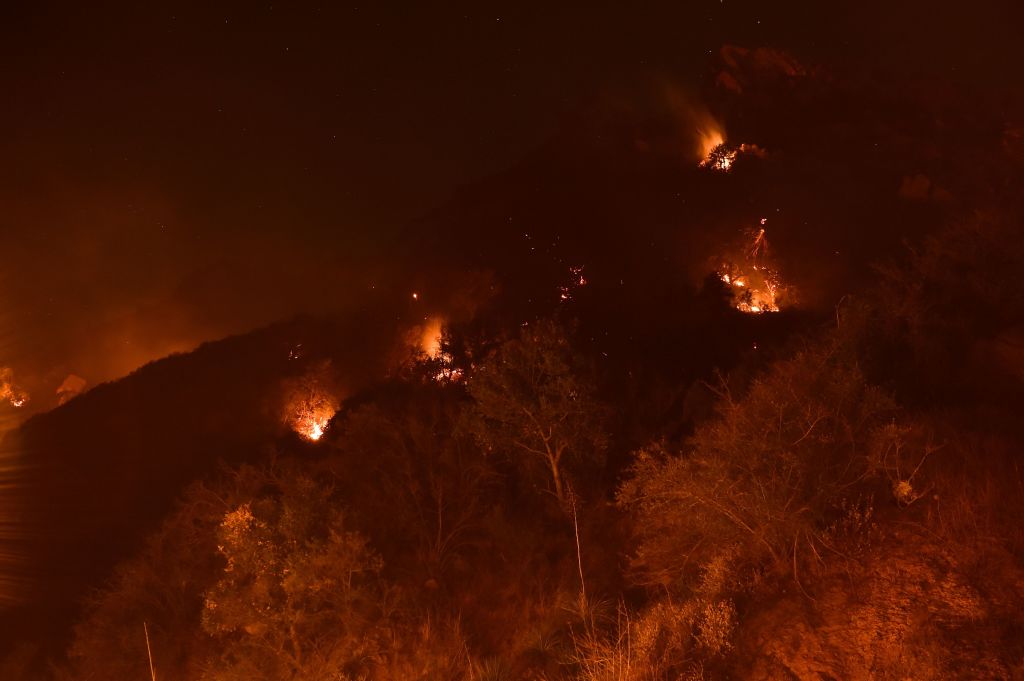 california forest fires
