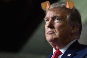 dognald trump dogphobia dog