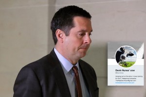 Rep. Devin Nunes and his cow digital illiteracy