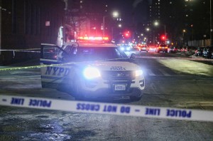 new york crime