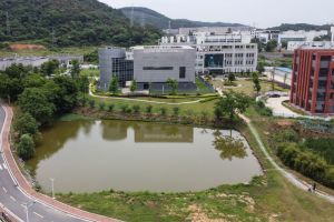 wuhan institute of virology lab theory