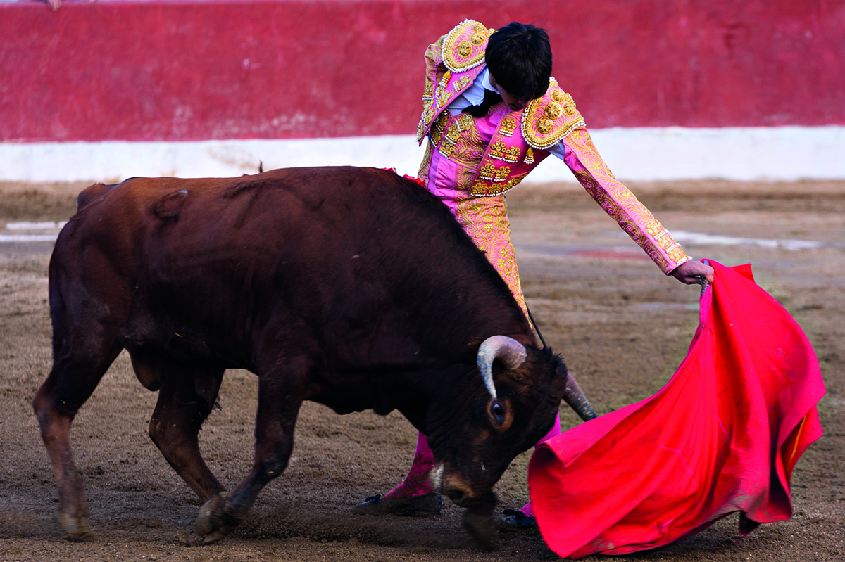 Juegos de el torero