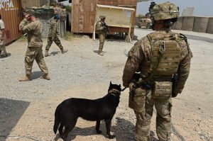 A US army soldier and military dog keep watch in Afghanistan (Getty Images)