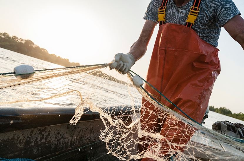 Is it cruel to eat fish? - The Spectator World