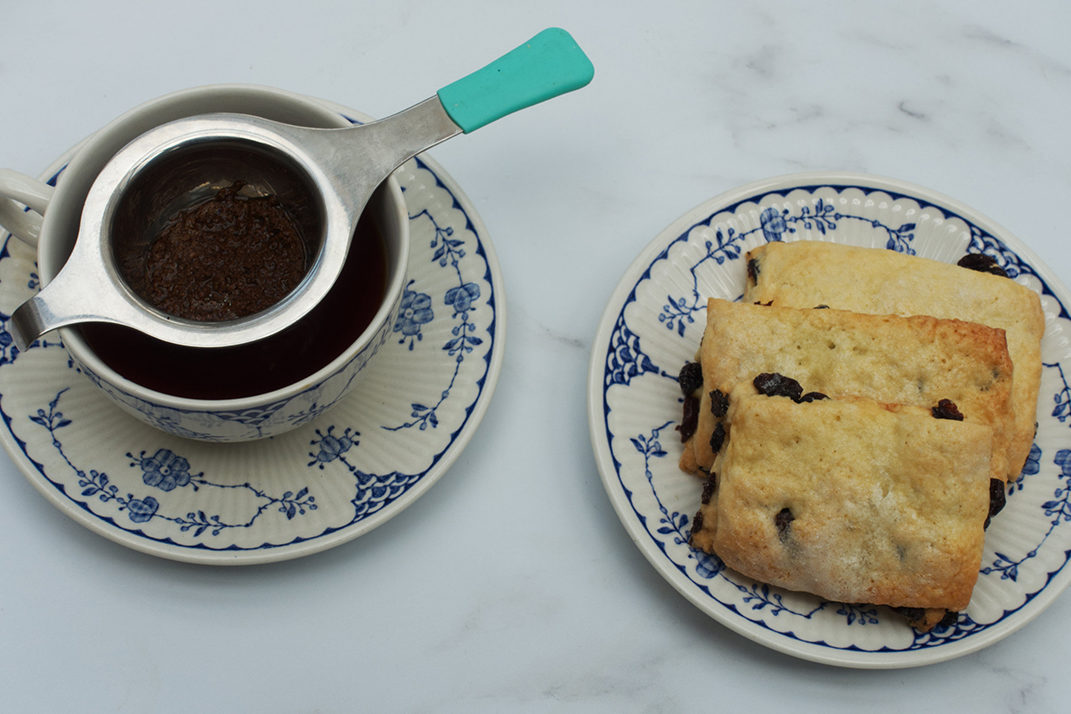 The surprising history of Garibaldi biscuits The Spectator World