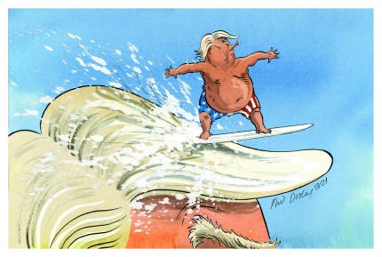 trump wave