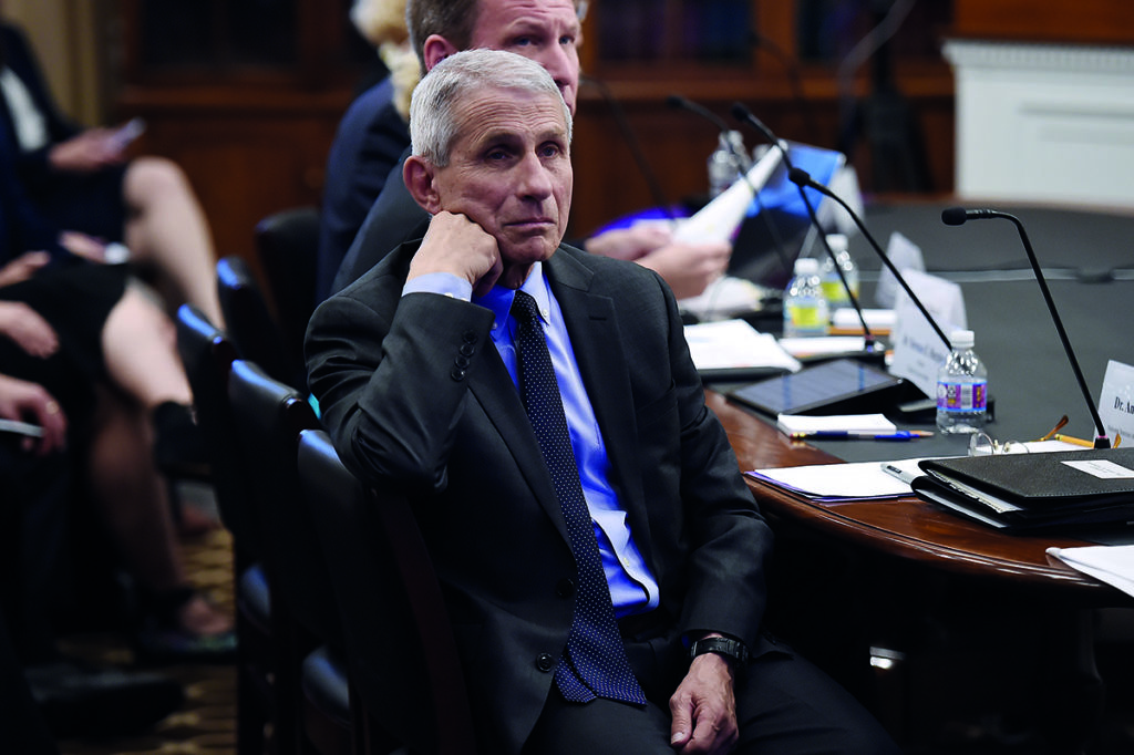 The Harvard connection The Spectator World