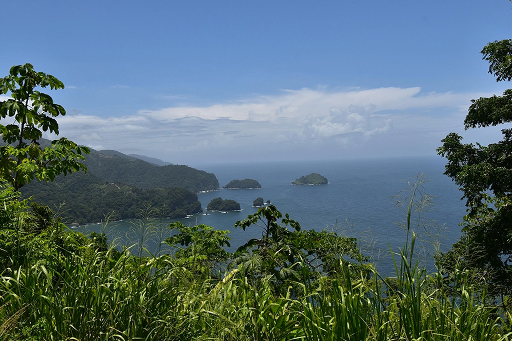 NextImg:Tragedy in Trinidad