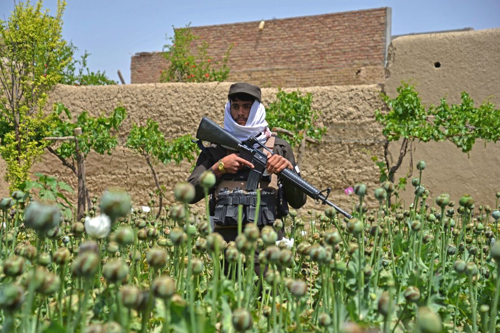 The Taliban’s War On Drugs Could Cost The West - The Spectator World