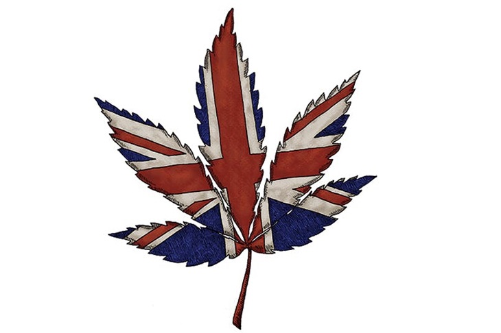 The cannabis liberalization experiment may backfire