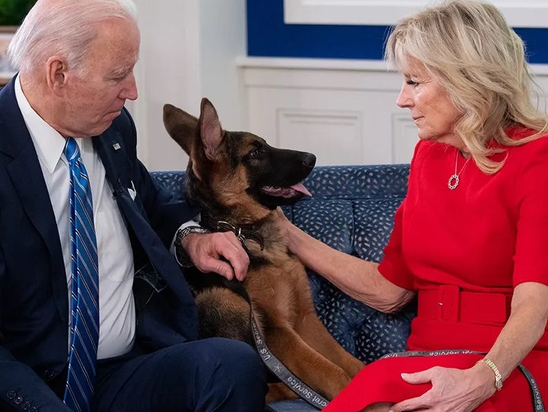 NextImg:The shocking behavior of Joe Biden's dog