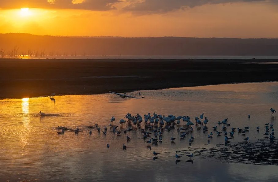 NextImg:How my family’s water stories became legends in Kenya