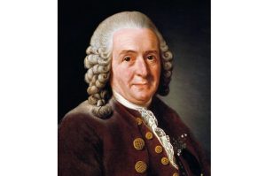 Linnaeus