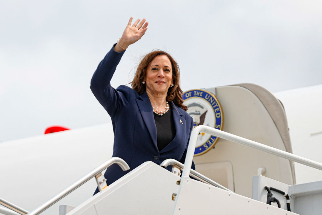 NextImg:The Democrats do not care a whit about democracy