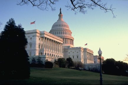 political