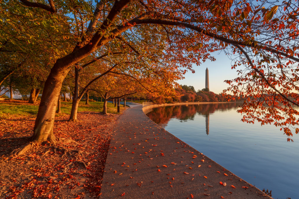 Fall