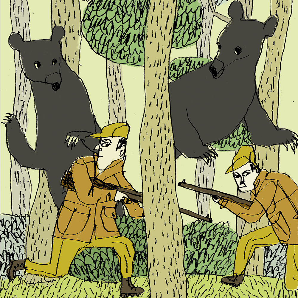 bear