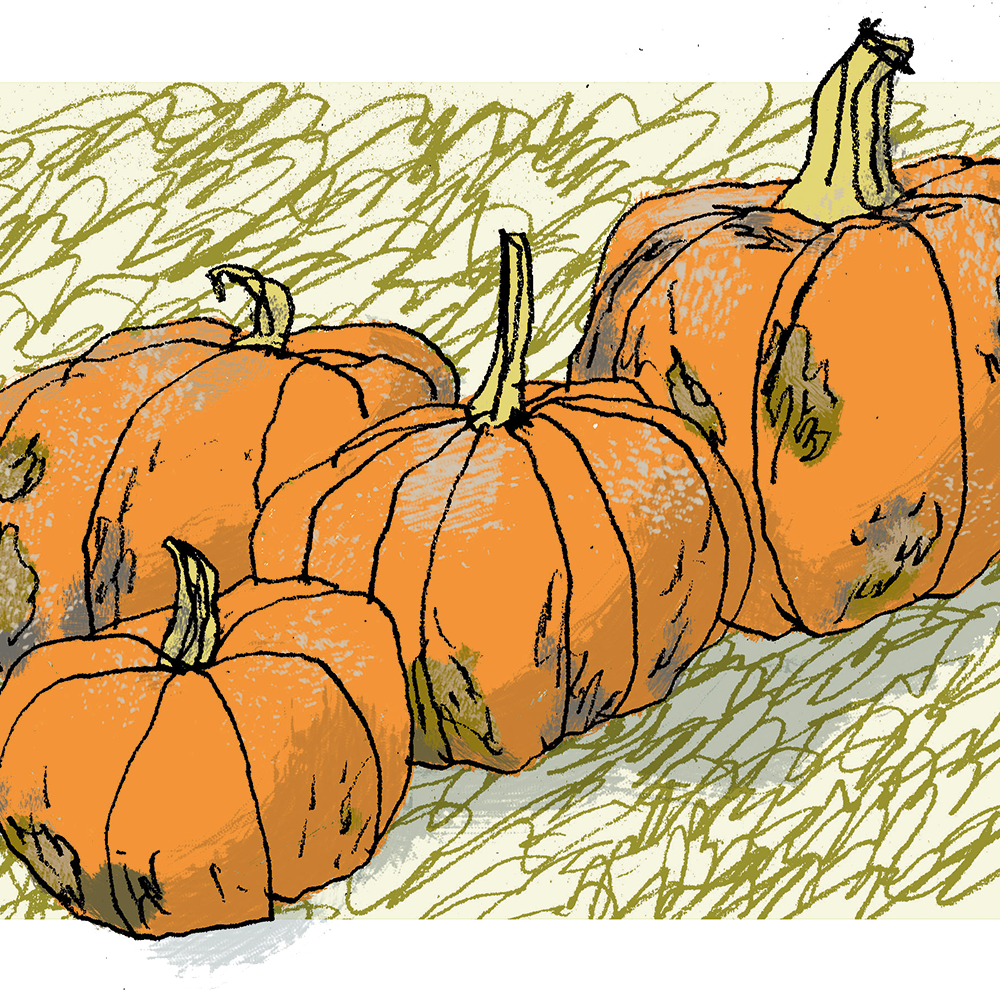 pumpkins